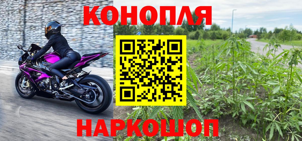 Шишки марихуана AK-47  Вход с VPN  Валуйки  Бошки Шишки план  Конопля конопля 
